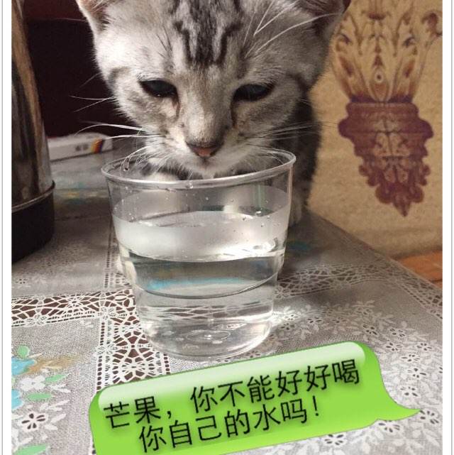购买仿真资格证